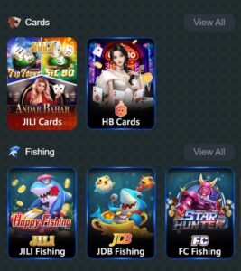 Pk116 App Download 2026 – New Earning App for Pakistani Players 4