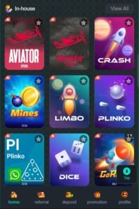 Pk116 App Download 2026 – New Earning App for Pakistani Players 3